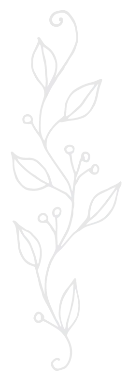 drawing of leaves on branch